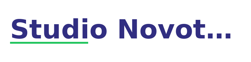 Studio Novotný logo